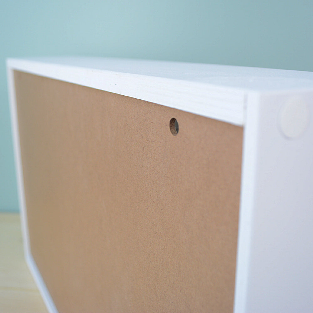 60 Standard Ink Organizer